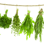 Herb Bundles on a String